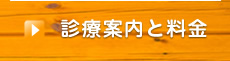 診療案内と料金